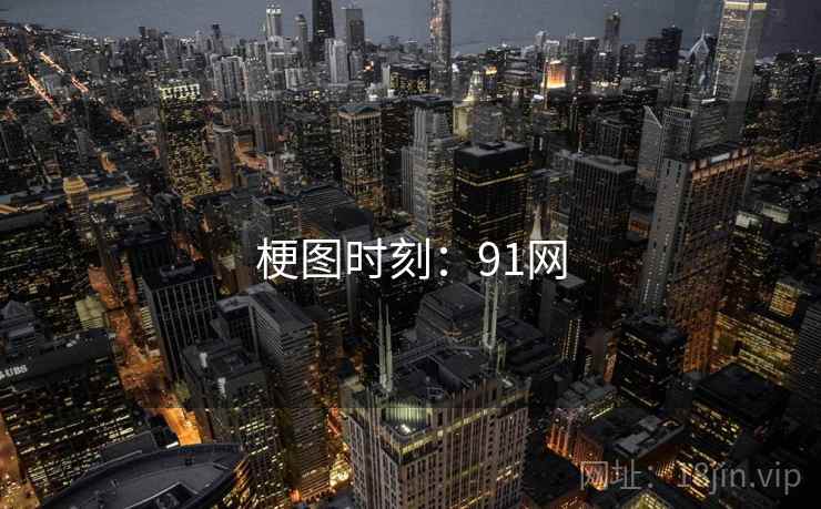 梗图时刻：91网