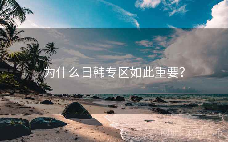 为什么日韩专区如此重要？