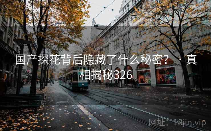 国产探花背后隐藏了什么秘密? · 真相揭秘326